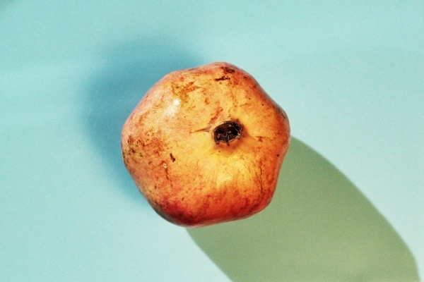 20130116-<br />
094419.jpg