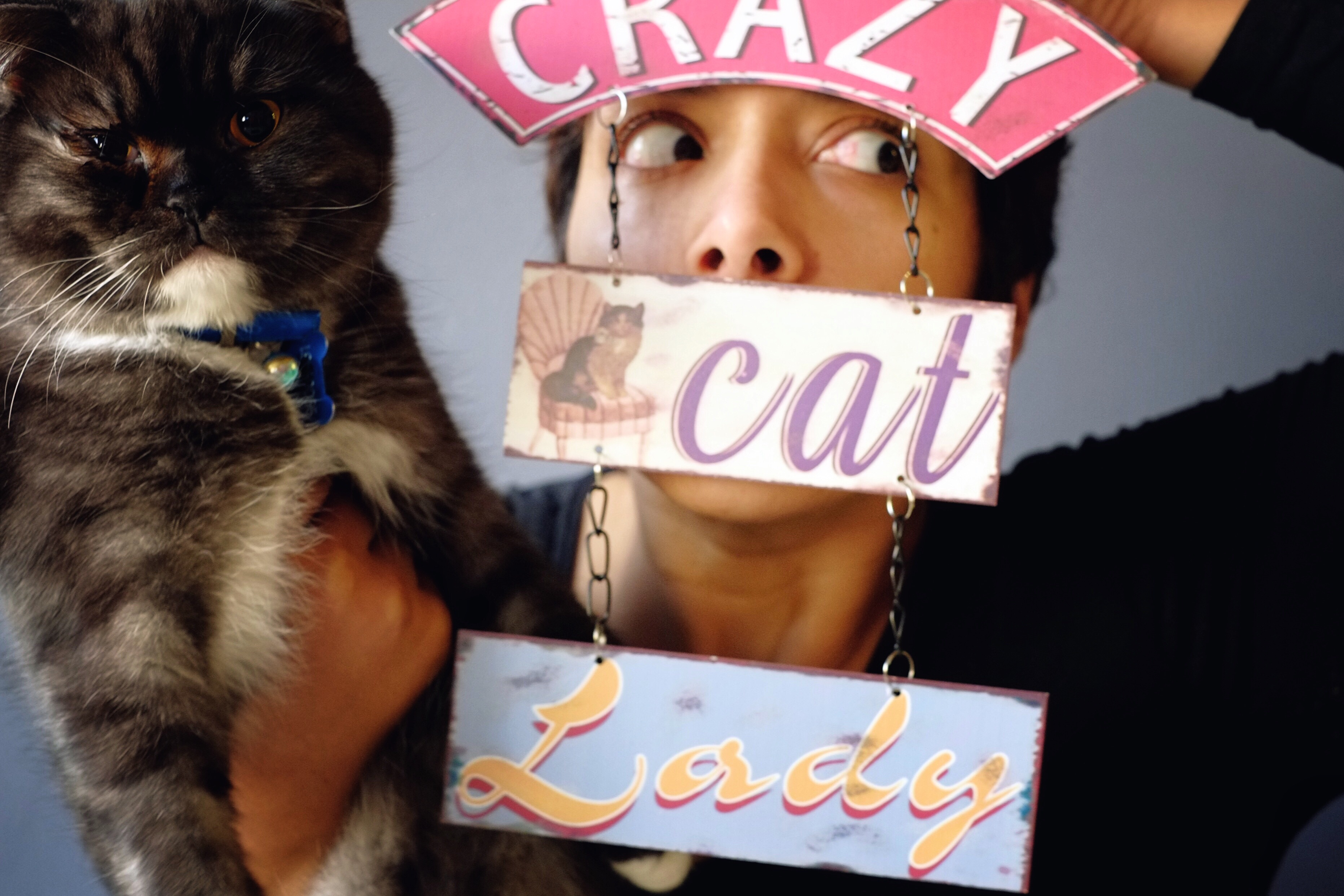 The Crazy Cat Lady