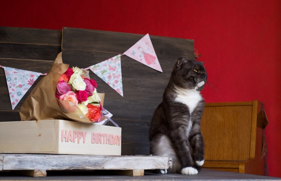 Antar is the Sensitive boy